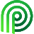 palmetto.com-logo